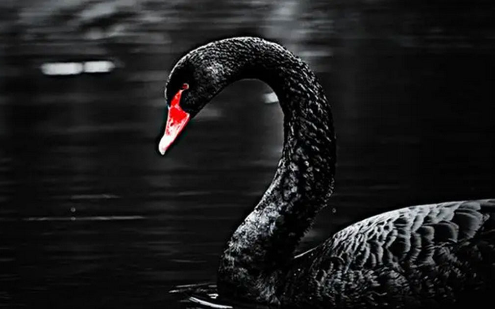 疫情下比黑天鵝更可怕的，是我們對(duì)5S凈水器的視而不見(jiàn)