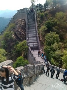 芋头焖排骨的简单介绍