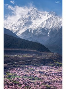 关于林芝旅游攻略自由行三天的问题