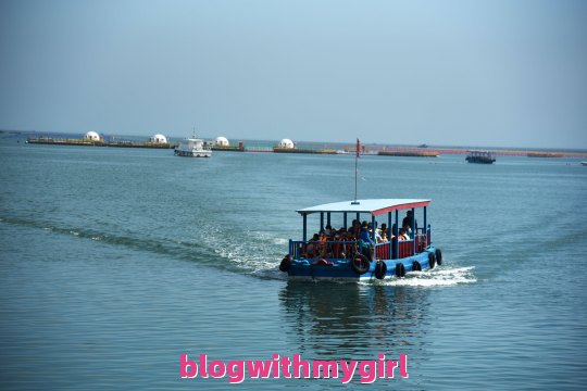 急急急，威海荣成海驴岛旅游攻略