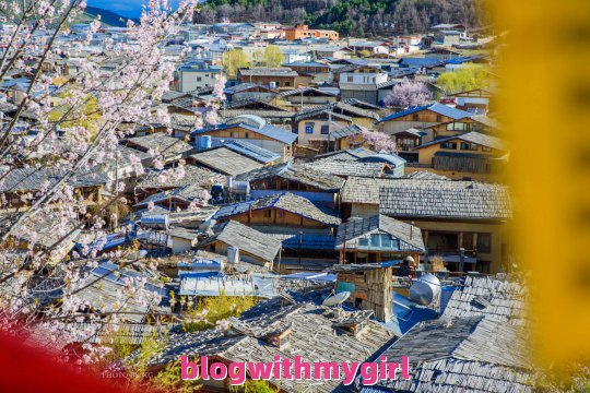 云南旅游四月份全攻略自由行！4月份云南旅游去哪里