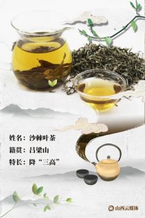 马兰叶茶,马兰叶中药名