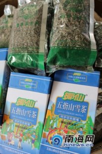 椰仙苦丁茶的简单介绍