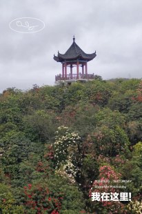 毕节旅游自由行攻略图片大全！毕节旅游自由行攻略图片大全高清