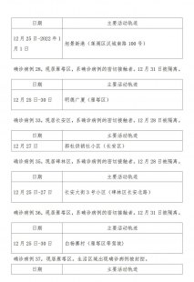 包含浦东确诊病例活动轨迹以及上海浦东确诊数据查询系统的情况分析的词条