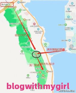 西山青种枇杷_西山青种枇杷和东山白玉枇杷哪个好