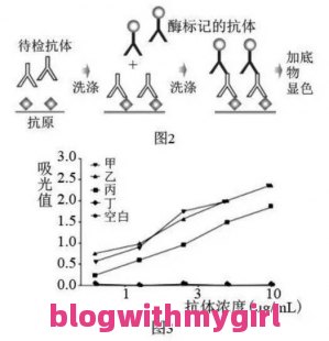 热点新冠肺炎最新消息数据以及现在肺炎确诊数据最新消息的分享的简单介绍