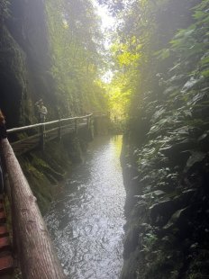 了解一下青城山旅游攻略一日自由行