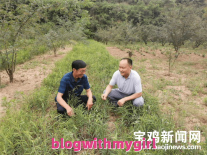 千岛湖旅游攻略自由行最佳线路图（千岛湖旅游攻略 知乎）