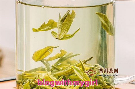 花果山云雾茶问题一览