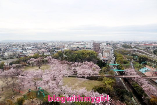 了解一下日本旅游攻略