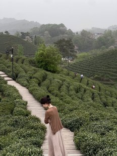 天津周边可以去哪里旅游—天津周边旅游景点大揭秘