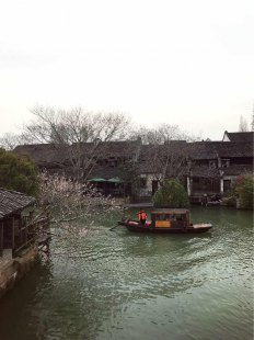 浙江乌镇旅游自由行攻略（浙江乌镇旅游攻略3,浙江乌镇有什么好玩的景点