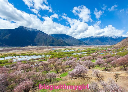 林芝旅游攻略冲过林芝旅游最佳季节