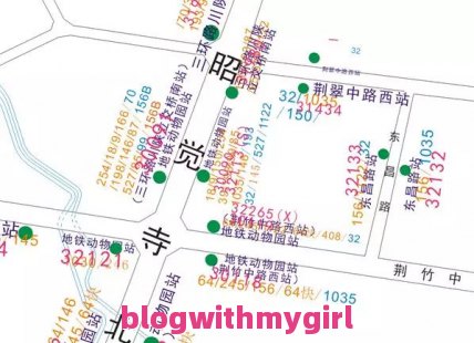 338公交车路线全程时间（338路公交车路线时间表）