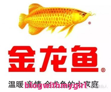  泸州出发云南自驾游5天最佳攻略？（昆明旅游攻略3天自由行）