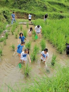 长寿湖鱼面问题一览