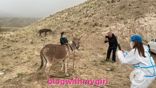 关于陕西西安到旅游自由行攻略的词条