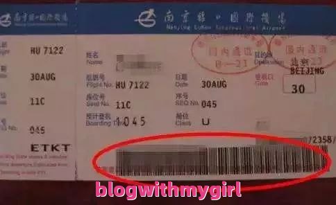 上海旅游攻略自由行亲子（上海—自由行亲子游：探索上海的乐园之旅