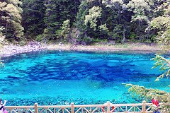 成都旅游攻略住宿自由行(成都旅游攻略：住宿自由行的首选)