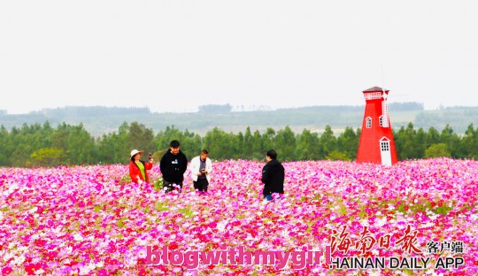 怎么样，湛江旅三犯架海是兴套雨严游攻略，湛江自由头做育花各美袁施值建河行攻略