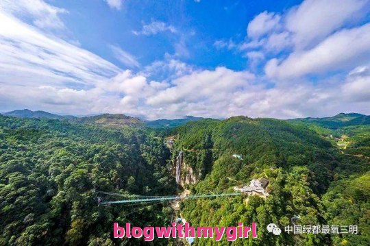 求厦门旅游攻略，要详细的。去的景点:鼓浪屿 南普陀寺 厦大 环岛路等 自由行 住在厦门市 谢谢